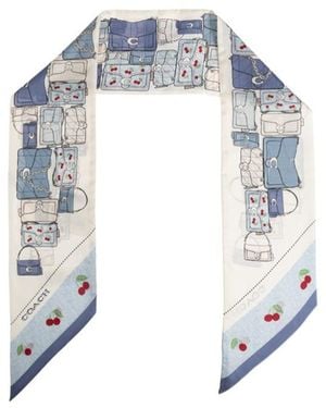 COACH Printed Skinny Scarf - Blue