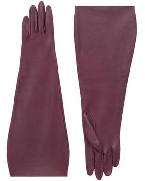 Saint Laurent Gloves - Purple