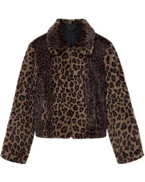 AllSaints Saye Leopard-Print Collared Jacket - Brown