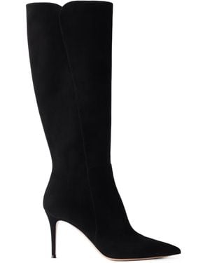 Gianvito Rossi Solid Suede Knee-High Boots - Black