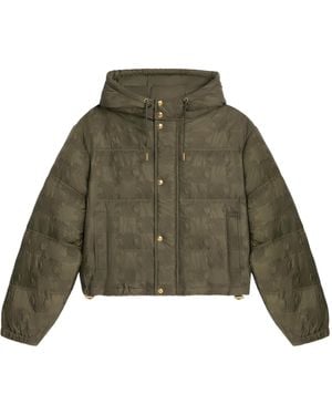 Celine Cropped Triomphe Down Jacket - Green