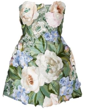 Leo Roselle Floral Appliqué Mini Dress - Green