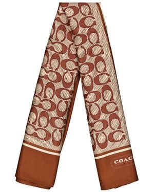 COACH Printed Scarf - Multicolor