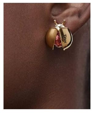 Dior Lady Spark Stud Earrings - Brown