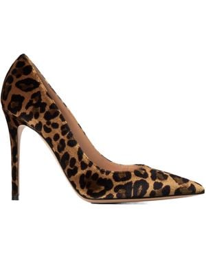 Gianvito Rossi Pointedtoe Stiletto Pump - Brown