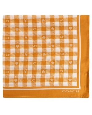 COACH Patterned Silk Scarf - Orange