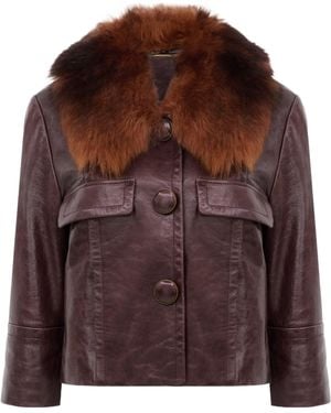 Chloé Cropped Jacket - Brown