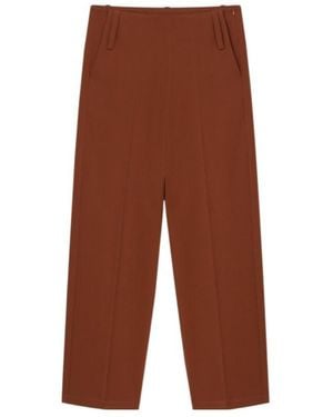 Aeron Belt-Loop Dress Pants - Brown