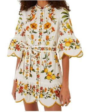 FARM Rio Floral-Print Mini Dress - Metallic