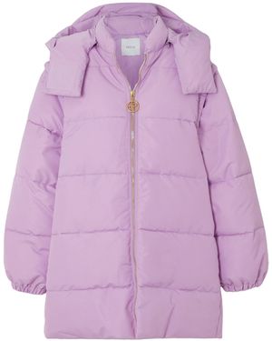 Patou Zip-Up Hooded Jacket - Purple