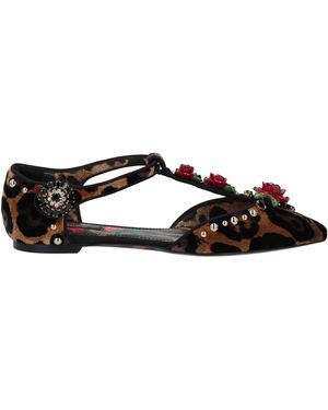 Dolce & Gabbana Floral Ballet Shoes - Brown