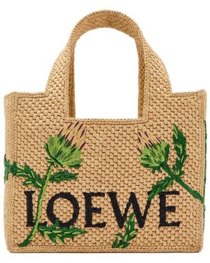 Loewe X Paula S Ibiza Embroidered Small Raffia Tote Bag - Green