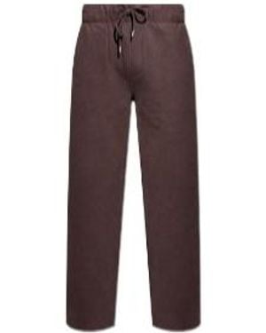 AllSaints Asher Joggers - Brown
