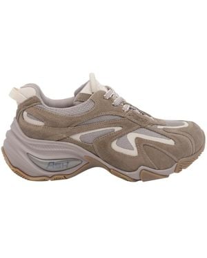 Ash Round-Toe Trainers - Grey