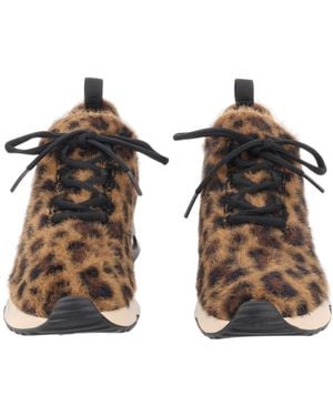 Ash Round-Toe Sneakers - Brown