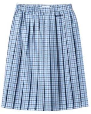 Miu Miu Pleated Check Skirt - Blue