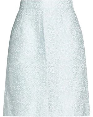 Dolce & Gabbana Mini Skirts - Blue