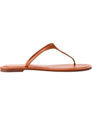 Polo Ralph Lauren Solid Color Flip Flops - Brown