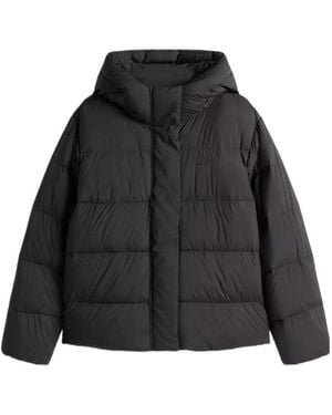 Tommy Hilfiger Shorts Down Puffer Jacket - Black