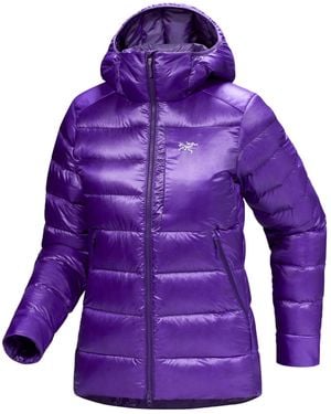 Arc'teryx Cerium Sv Hoody - Purple