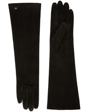 Max Mara Afideesuede Logo Plaque Gloves - Black