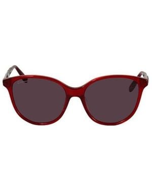 Ferragamo Logo Sunglasses - Purple