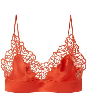 Stella McCartney Floral Lace Bralette - Red
