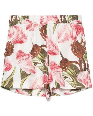 P.A.R.O.S.H. Floral-Print Shorts - Pink