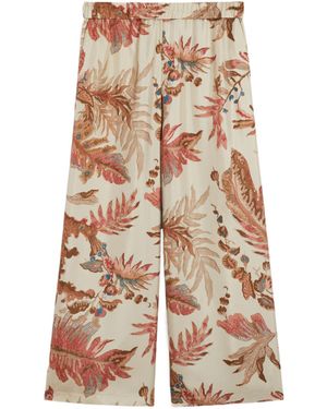 Weekend by Maxmara Printed Silk Twill Pants - Multicolor