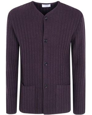 Lardini Long Sleeve Buttoned Cardigan - Blue