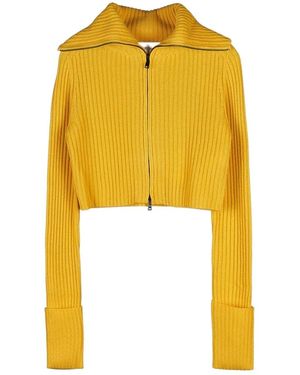 Sportmax Long-Sleeved Sweater - Yellow