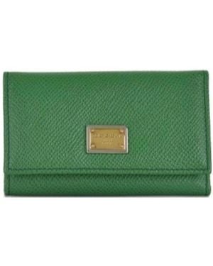 Dolce & Gabbana Logo Details Key Bag - Green