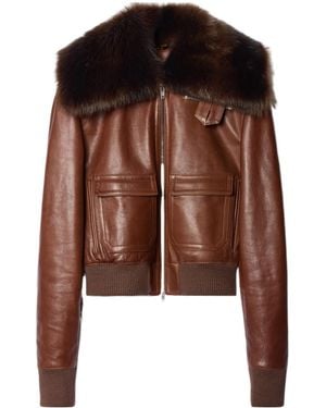 Celine High-Collar Teddy - Brown