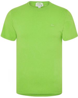 Lacoste Adults Regular Fit T-Shirt - Green