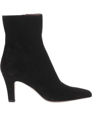 Paris Texas Zippered Ankle Boots - Black