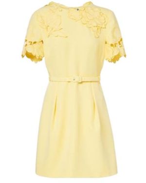 Leo Aurelie Belted Floral-Appliqué Minidress - Yellow