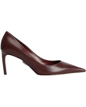 Dolce & Gabbana Devotion Pointed-Toe Court Shoes - Brown