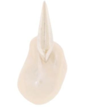 Bottega Veneta Pearl Earrings - White