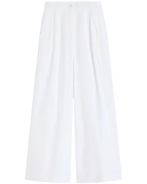 Weekend by Maxmara Cotton Wide-Leg Pants - White