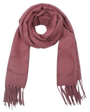 COACH Fringed Scarf - Purple