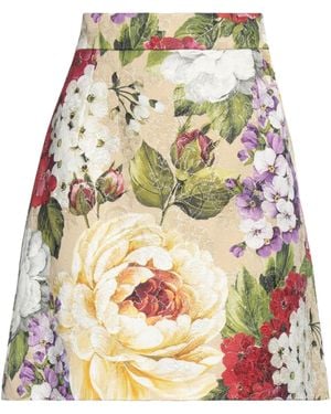 Dolce & Gabbana Mini Skirts - Gray
