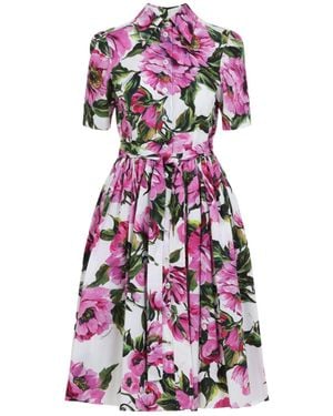 Dolce & Gabbana Dresses - Multicolor
