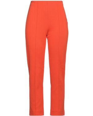 Sportmax Plain Color Flared Trouser