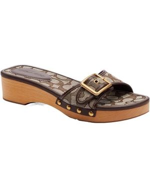COACH Buckle Detail Slippers - Brown