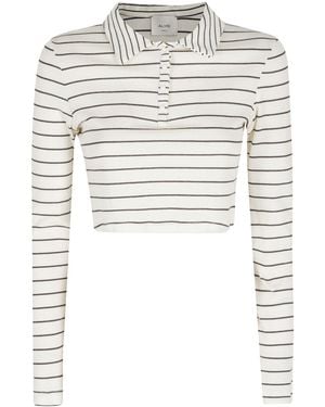 Alysi Striped Polo Shirt - White