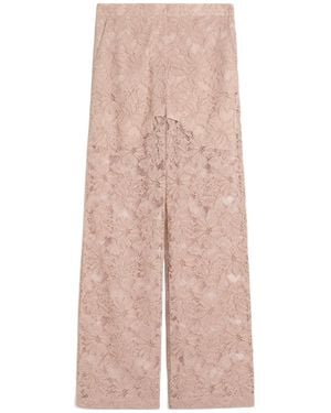 Sportmax Floral-Lace Pants - Pink