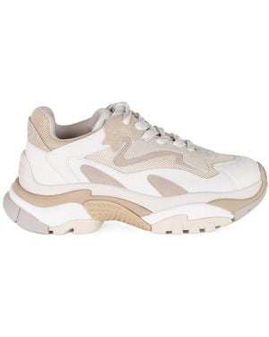 Ash Lace-Up Sneakers - White