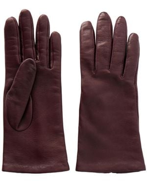 Zimmermann Slim Fit Gloves - Purple