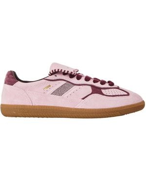 Alohas Tb.90 Club Low-Top Sneakers - Pink