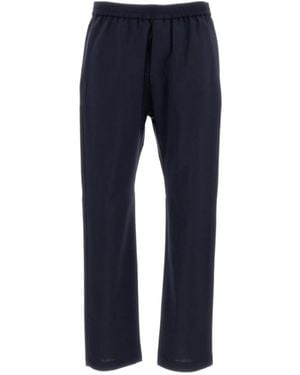 Barena Straight Leg Trousers - Blue